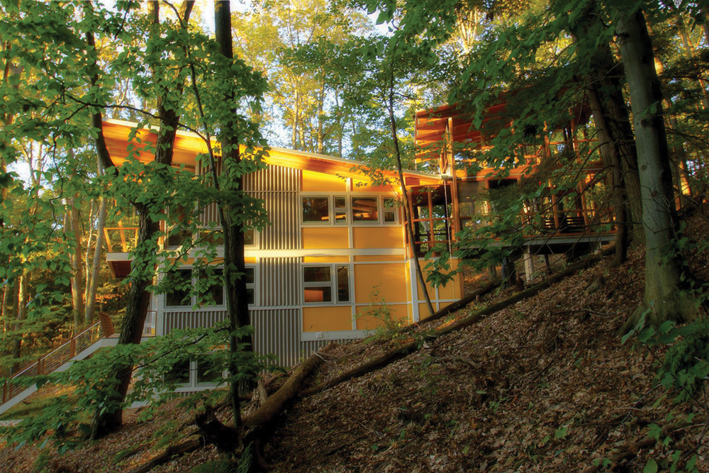 Yellow House in the Woods