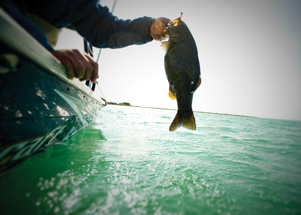 Fish on the line in Michigan Lake
