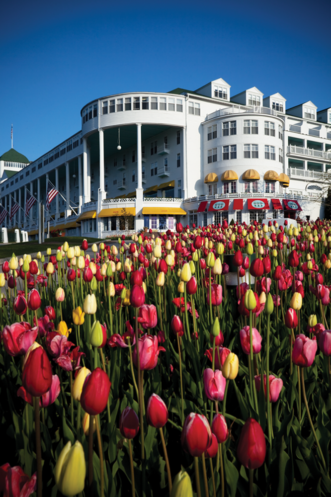 Grand Hotel grounds covered in tulips 