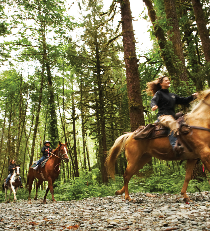 Horseback Riding