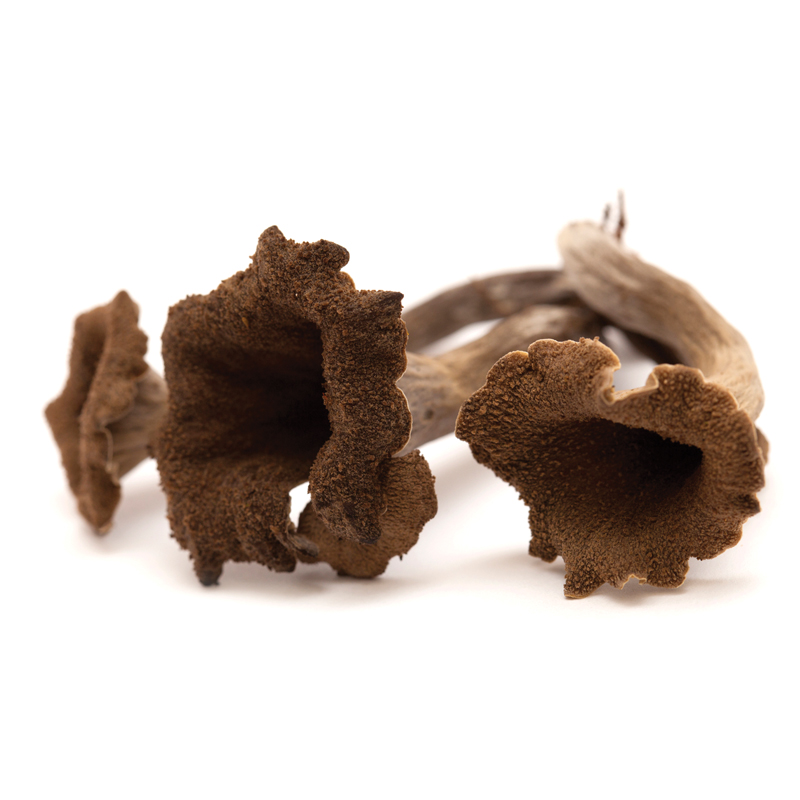 black trumpet mushrooms