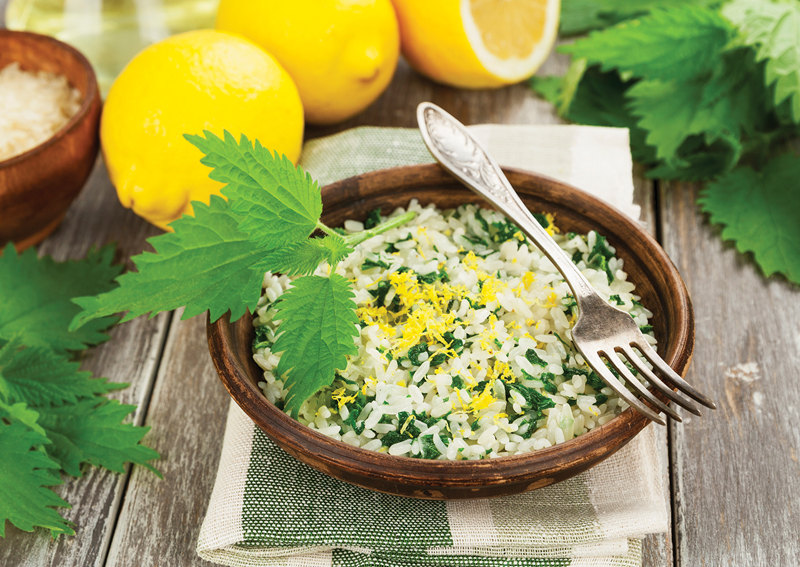 Risotto with Nettles