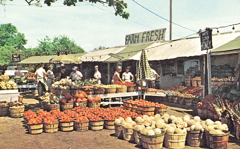 Roadside Farm Market