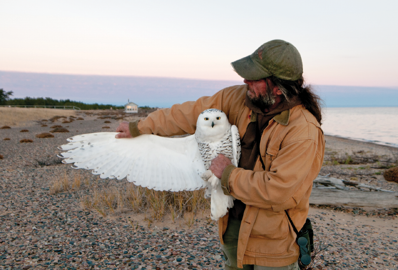 Chris Neri and snowy owl