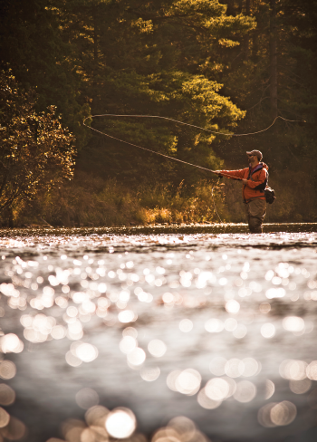 Escanaba River fishing