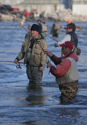 Fly Fishing Archives - Northern Michigan