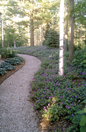 Compacted pea and packing gravel trail