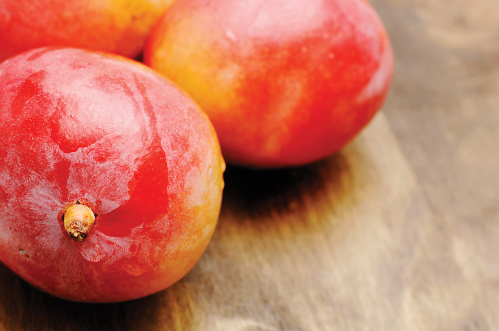 iStock Photo of Peaches by John Shepherd