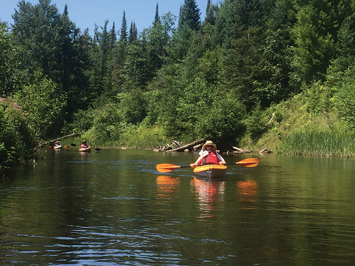 Kayakers