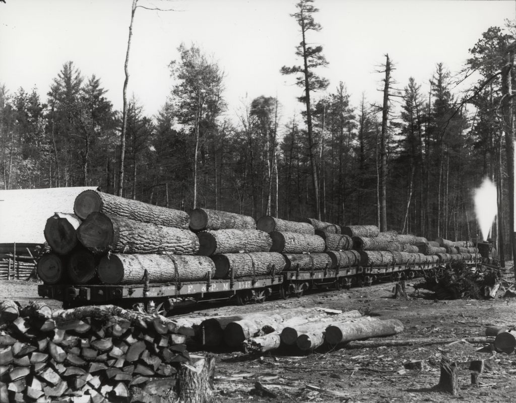 A Flint and Pere Marquette Railroad train loaded with logs, circa 1890s