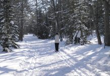 Winter Fun at the Lakeshore