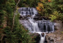 Falling for the U.P.