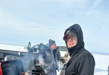 School with the Fish