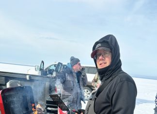 School with the Fish