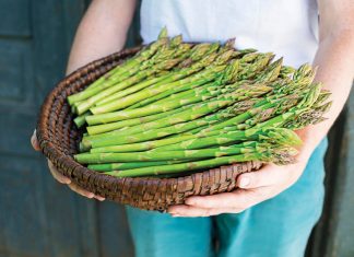 Fresh Fixings